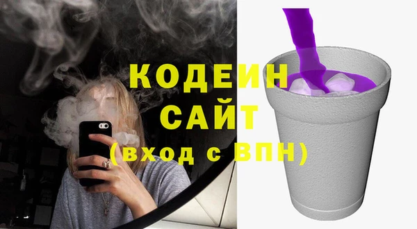 сатива Балахна