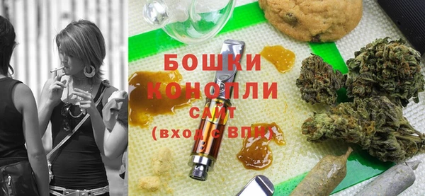 шишки Богданович