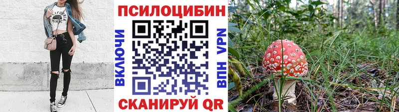 Галлюциногенные грибы Psilocybine cubensis  Купить где  Гагарин 